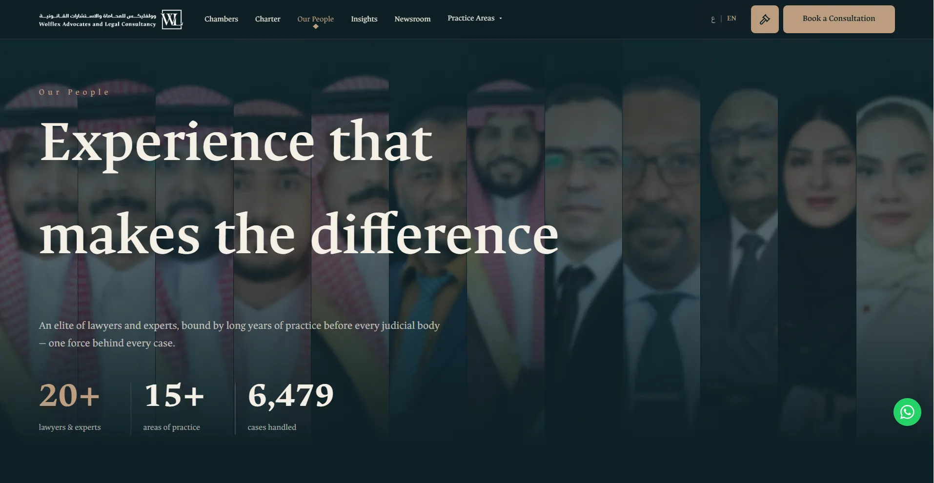The elite — lawyers & experts